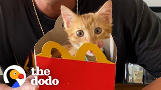 Guy Finds Kitten In McDonald's Parking Lot | The Dodo by The Dodo