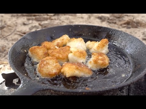 Fresh Fish Wraps Catch and Cook