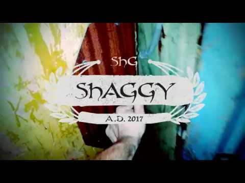 17. SHAGGY SHG - ZAKAZANY OWOC  (ONE SHOT, ALTER EGO)