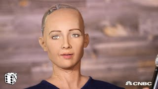 Most Advanced A.I. Robot Admits It Wants to Destroy Humans After Glitch During TV Interview