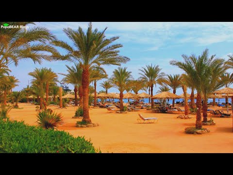 Piano Music with beach in Sharm El Sheikh, Egypt | Relaxing Music | Tv Backround | Calming Music