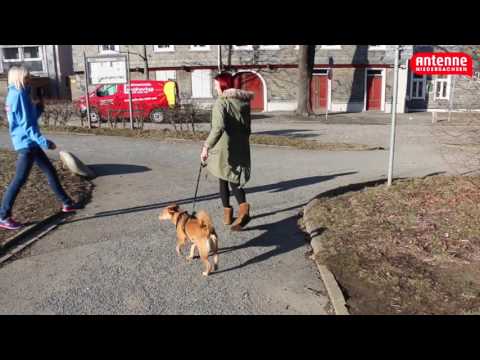 Wir tun was Gutes: wir machen aus Sch**** Gold :-)