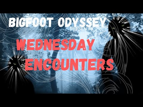 BIGFOOT ENCOUNTER - JOHN DAY