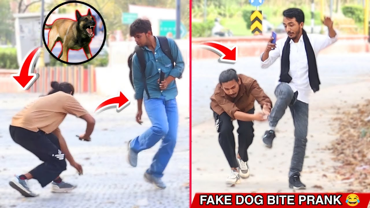 All time best prank 😂 || Fake dog prank || Hilarious Reaction || prank video funny 