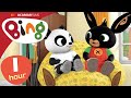 10x Episodes 60 Mins Full Episodes Compilation Bing English