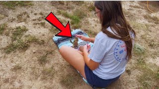 YOU Want Me to Adopt a Dog, So I Adopted a Squirrel Instead! | Living in a Minivan Camper | Ep. 442