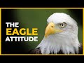 The Eagle Attitude Nick Scott