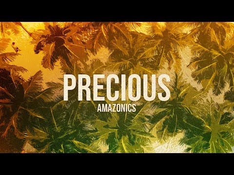 Precious (Bossa Nova Cover) Amazonics