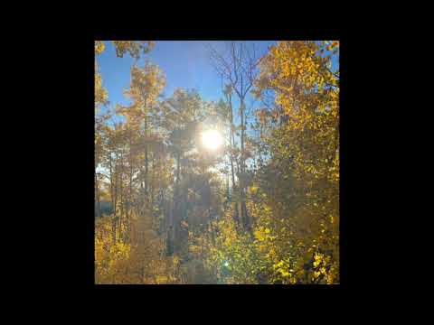 [FREE] Bushi x Luther x Saturn Citizen type beat - " Talkin " (prod.bipolarity)