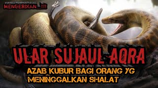Download lagu ULAR Syujaul aqra Azab kubur bagi orang yg meningg... mp3