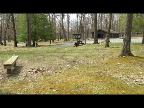 A quick 360 of the campground.