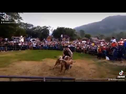 J: FLAMITA T: CHARRASQUEADO