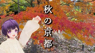 【Vlog】奇跡の連続、京都紅葉狩り☆《VTuber went on a trip to Kyoto》
