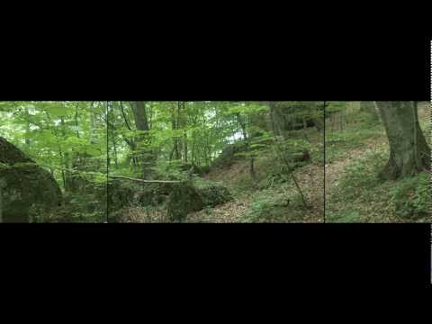 Forbidden Prayers -  Peregrina