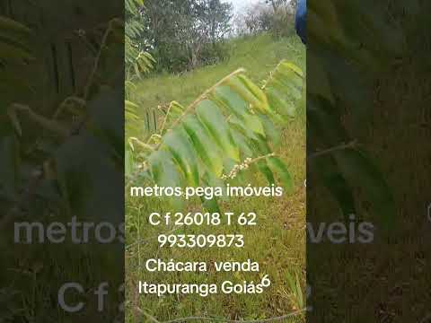 Itapuranga Goiás T 62 993309773 pegamos imóveis