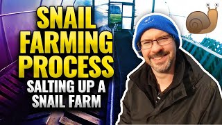 Snail Farming Process: Salting Up Our Escargot Haven 🐌🧂
