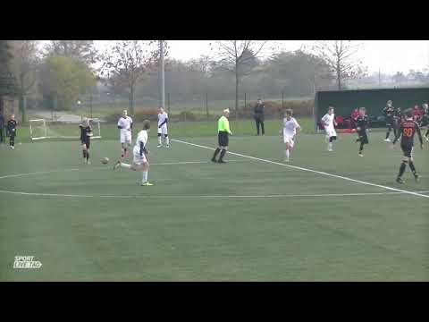 Skrót Irzyk Progres 2006