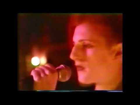 Quando Quango Go Exciting live