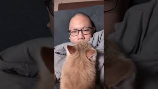 甘えん坊な猫ちゃん❤ #猫 #可愛い猫