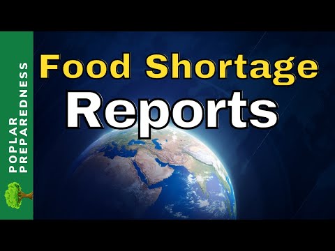 3rd YouTube video about how much food can this container hold