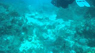 preview picture of video 'The Cartanza Senora wreck dive St Thomas USVI 11/15/13 (3/3)'
