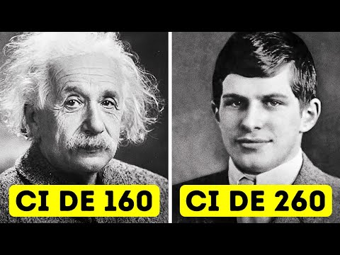 La Historia Del Hombre Con El Coeficiente Intelectual Más Alto