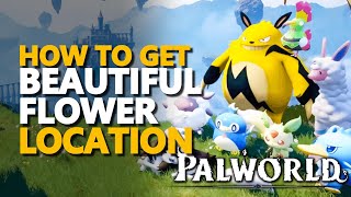 How to get Beautiful Flower Location Palworld