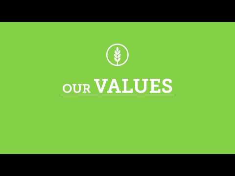 Our Values