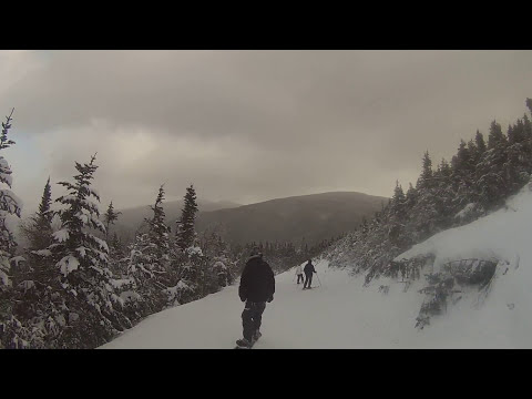 download lagu mp3 mp4 Lynx Lair, download lagu Lynx Lair gratis, unduh video klip Lynx Lair