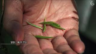 [고려음] 순천 대광사터 고려 단차 재현 이미지