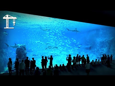 Inside Europe's Largest Aquarium - Nausicaa's Epic Engineering Feat