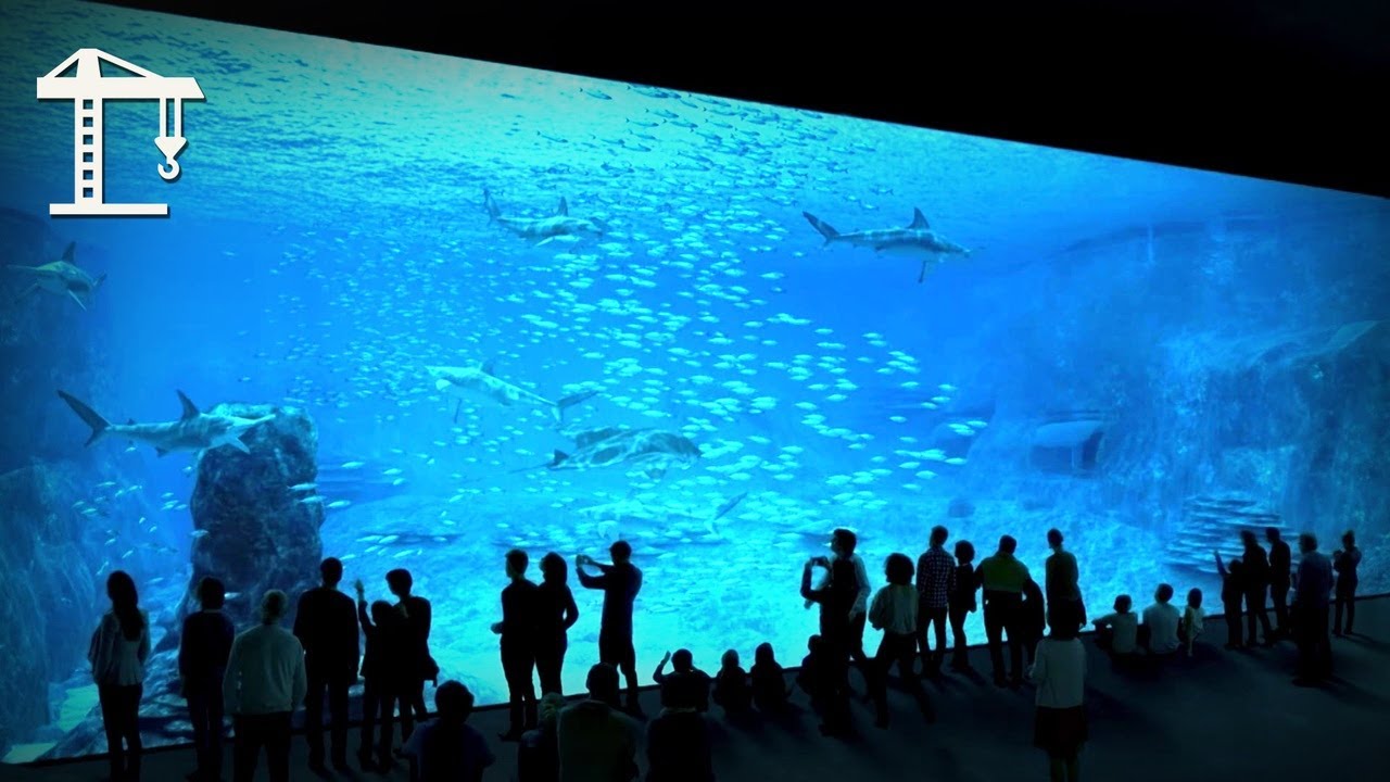 Inside Europe's Largest Aquarium - Nausicaa's Epic Engineering Feat