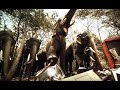 HAPPYDENT AD TELUGU BEST AD EVER