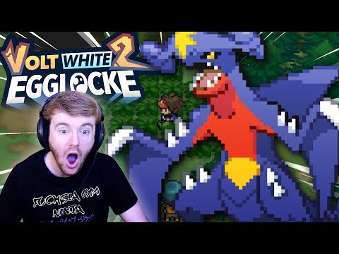 LEVEL 70 GARCHOMP?! (Pokemon Volt White 2 Egglocke w/ GameboyLuke • #40)