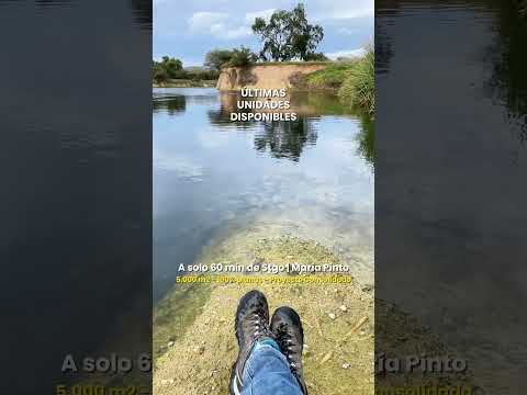 Se están acabando: parcelas exclusivas en María Pinto. ¡No te quedes sin la tuya!