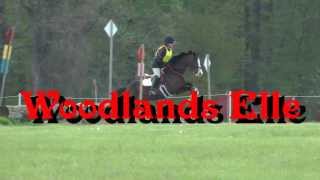preview picture of video 'Cayla and Woodlands Elle. Fair Hill, MD, Horse Trials HD'