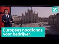 Europees noodfonds voor bedrijven • Z zoekt uit