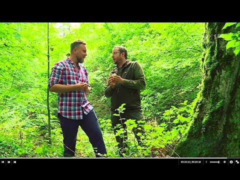 Las Bliżej Nas - 6 odcinek, sezon 2 - 07.10.2018 r.