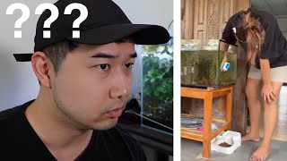 how to clean a fish tank in 2025 | Fish Tank Review 327