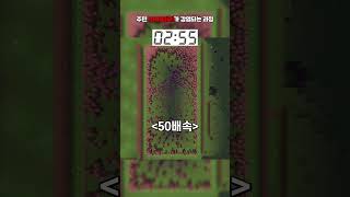 유튜브 썸네일