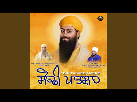 Teri Tasveer Mere Sodhi Patshah