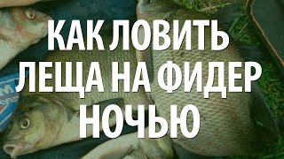 Как ловить леща днем на фидер ночью