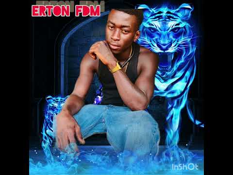 Erton FDM  Dam so el audio official