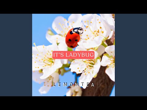 EileMonty,Princewhateverer - Its Ladybug cover