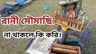 অনেকগুলো রানী মৌমাছি হইলে আমরা যে কাজ করি