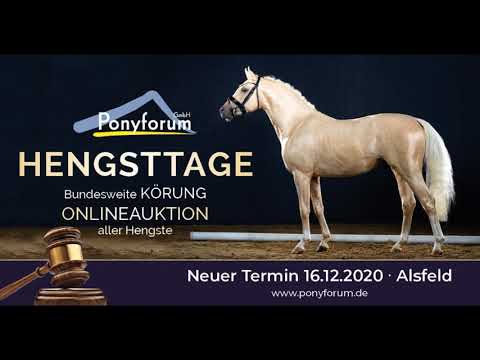 Ponyforum Hengsttage 2020 - DON DIABONO v. Del Piero II