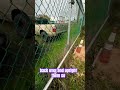 How To Repair A Bent Or Leaning Fence Post Like a Pro 👨‍🏭#fencerepair #fence #welding