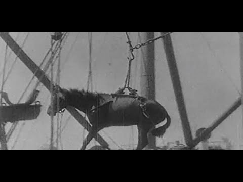 Velké bitvy - Katastrofa na Gallipoli 1915