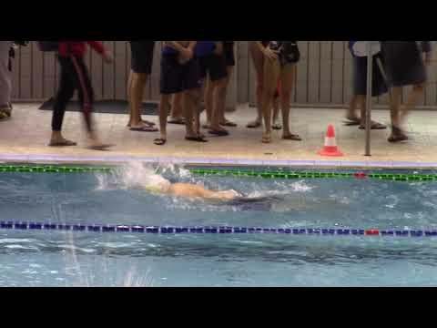 Mistaffetta 4x50SL 200-239 (1) - Livorno 01.03.20