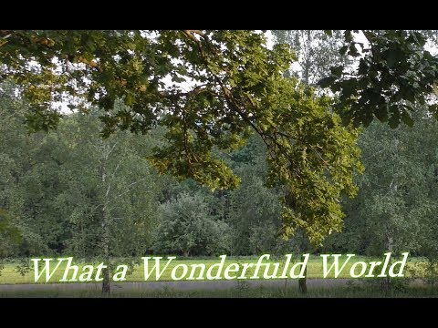 What a Wonderful World * Mara & Chris Miller * Livemusik an besonderen Orten * Rhön Maulkuppe